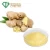 Import China Factory Top Quality Healthy Ginger Extract Capsules Ginger Root Extract 10% Powder from China