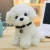 Import China Factory Wholesale Stuffed Animals Dog Poodle Plush Toy from China