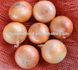 china Fresh Yellow Farm Fresh Onion