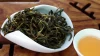 China oolong tea