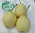 Import Chinese Fresh Fruit Ya Pear from China