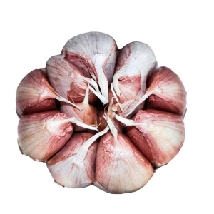 Chinese fresh white garlic for wholesale