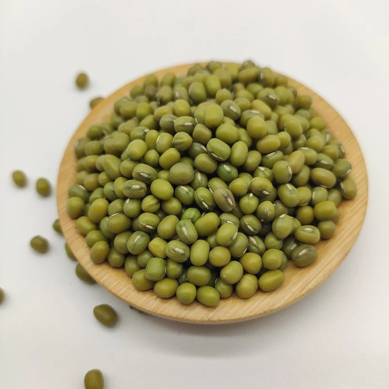 Chinese New crop  top grade sprouting green mung bean