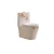 Import Chinese Supplier Ceramic Two Piece Toilet Seat from China