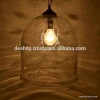 Clear Glass Hanging Lamp Shades For Home Decorative