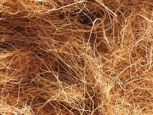 Coconut fiber Wholesale supplier 100% High quality cheap rate Bulk Quantity