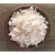 Import COCONUT FLAKES UNSWEETENED WIDE SLICED/WHOLESALE COCONUT CHIP SNACK/DESICCATED COCONUT from Vietnam