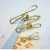 Import Colorful 316 Stainless Steel Metal Strong Clothes Peg For Home Laundry Office Use from China
