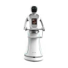 Csjbot Humanoid Robot Waiter