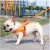 Import Customized super strong durable pet products reversible dog chest harness sets from China