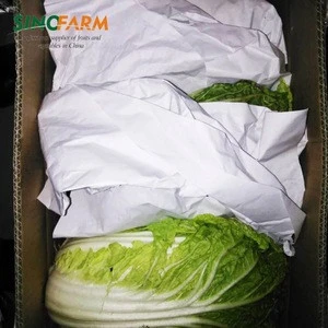 Dehydrate bulk fresh chinese cabbage for export