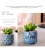 Import Desktop Balcony Bonsai Pot Pottery Mini Ceramic Flower Pot With Bamboo Tray from China
