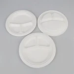 Disposable 3 compartment bagasse dishes plate