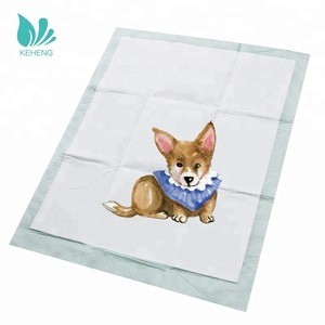 disposable absorbent dog bed