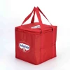Disposable Insulated Large Lunch Cooler Bag