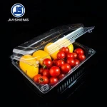 Disposable PET Plastic Fresh Clear Grape Fruit Food Packing Tray