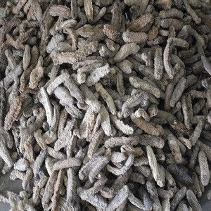 Dried Sea Cucumber For Sale