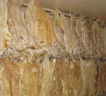 Dry Fish Maw , Stock Fish and Others