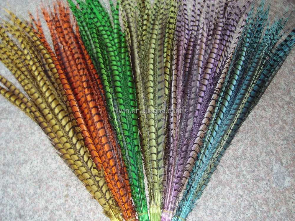 Dyed Ladies Amherst Pheasant feathers