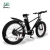 Import Europe Warehouse 48V 750W Strong Power Electric Fat Bike 15Ah Lithium Battery Electric Bicycle from China