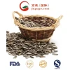 Export Good Quality Chinese Sunflower Seeds Manufacture