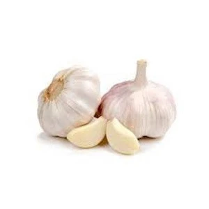 Export Quality Fresh Super White Garlic For Sale