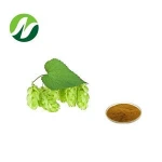 Factory Supply Hops Extract 100% Natural