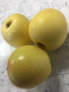 Fresh Apples from South Africa
