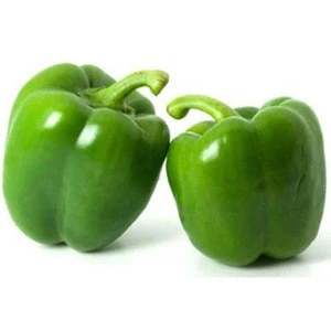 fresh bell pepper india/good quality capsicum/farm fresh red,yellow,red capsicum/bell pepper exporter