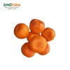 Fresh citrus fruit from China wholesale