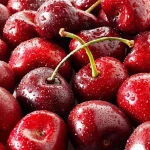 Fresh Dark Red Cherries / Fresh Cherries Fruits