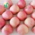 Import Fresh Fuji red Apple from China