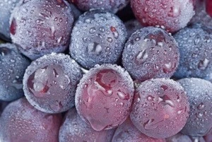 Fresh Grapes, Seedless Grapes Supplier