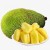 Import Fresh JACK FRUIT FOR SALE, CHEAP PRICE from Vietnam