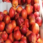 Fresh Peach Fruit for sale
