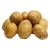 Import Fresh potato price 100% high quality export in Egypt from Egypt