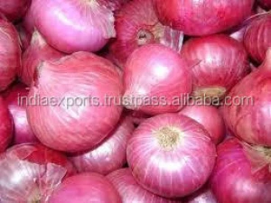 Fresh Red Onions For Sale In 3 Kg 5 Kg Red Mesh Bag