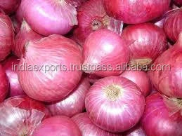 Fresh Red Onions For Sale In 3 Kg 5 Kg Red Mesh Bag