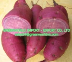 FRESH SWEET POTATO - YELLOW/PURPLE POTATO - PREMIUM QUALITY - AFFORDABLE PRICE