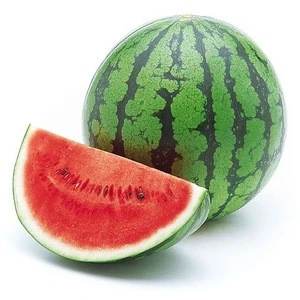 Fresh Watermelon Fruit For Sale Fresh Water Melon from Brazil