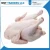 Import Frozen Chicken Whole, Feet, Paws, Wings Etc.. from USA
