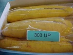 FROZEN MULLET ROE FROM BRAZIL