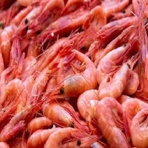 Frozen Shell-On Vannamei Shrimp for Sale