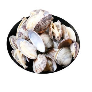 Frozen White Clams  Cooked Clam Meat frozen  Seafood