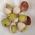 Ginkgo Nuts ,Peeled Ginkgo Nuts,Raw Ginkgo Nuts
