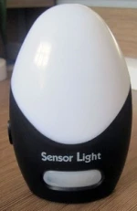 Goose egg type / body induction lamp / Led motion sensor light