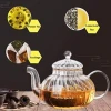 Gourmet Rose Blooming Teas Heat Resistant Loose Leaf Glass Kettle Tea Pot For Stove Top Loose Tea Leaf