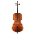 Import Handmade Cello Rodion Dubov from Russia