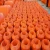 Import HDPE Dredging Pipeline Floaters For Sand Dredger from China