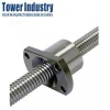 High Precision CNC Rolled Thread Ball Screw with Ball Nut